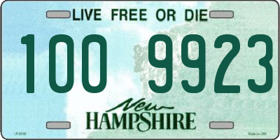NH license plate 1009923