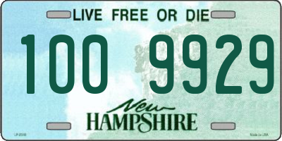 NH license plate 1009929