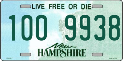 NH license plate 1009938