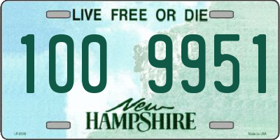 NH license plate 1009951
