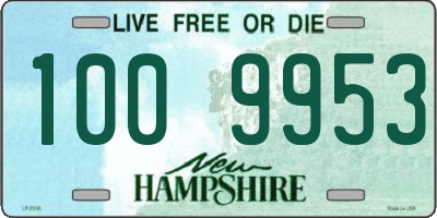 NH license plate 1009953