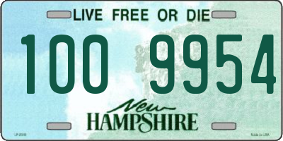 NH license plate 1009954
