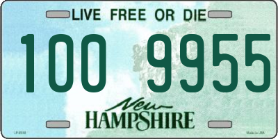 NH license plate 1009955