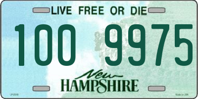 NH license plate 1009975