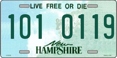 NH license plate 1010119