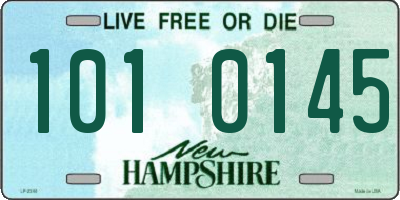 NH license plate 1010145