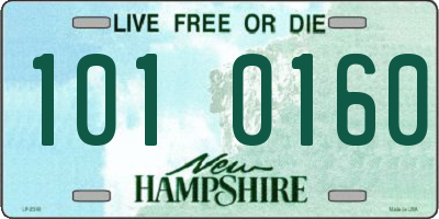 NH license plate 1010160