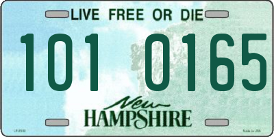 NH license plate 1010165