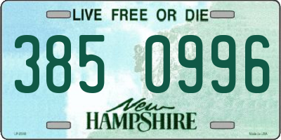 NH license plate 3850996