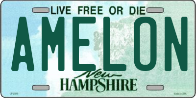 NH license plate AMELON