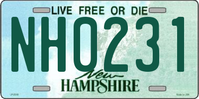 NH license plate NH0231