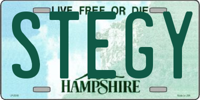 NH license plate STEGY