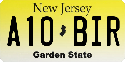 NJ license plate A10BIR