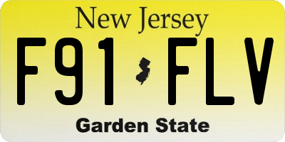 NJ license plate F91FLV