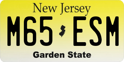 NJ license plate M65ESM