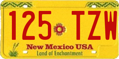 NM license plate 125TZW