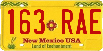 NM license plate 163RAE
