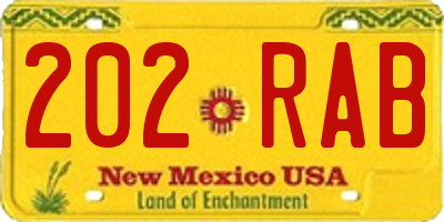 NM license plate 202RAB
