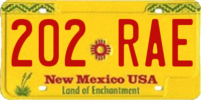 NM license plate 202RAE