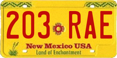 NM license plate 203RAE
