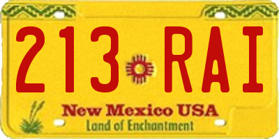 NM license plate 213RAI
