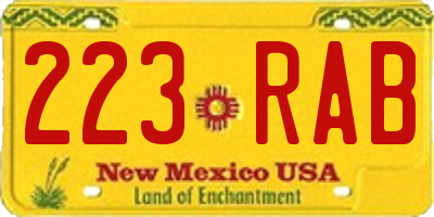 NM license plate 223RAB