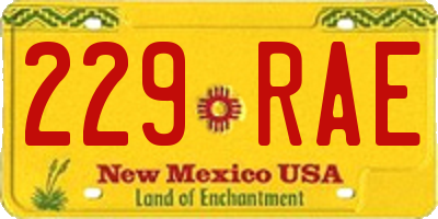 NM license plate 229RAE
