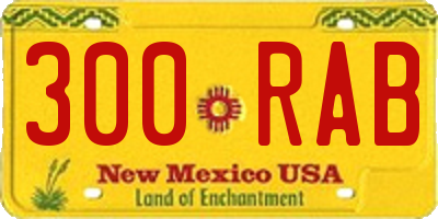 NM license plate 300RAB