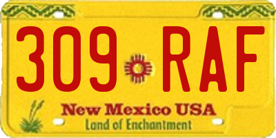 NM license plate 309RAF