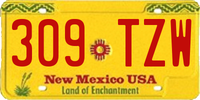 NM license plate 309TZW