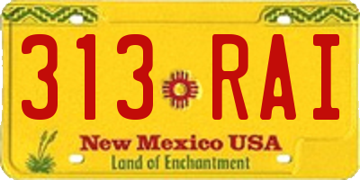 NM license plate 313RAI