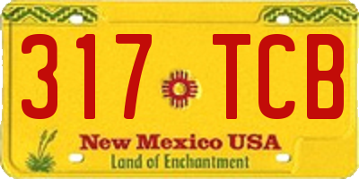 NM license plate 317TCB