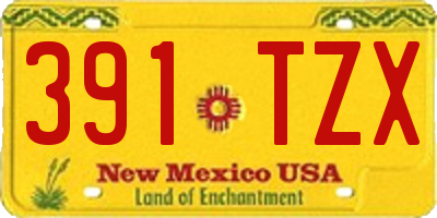 NM license plate 391TZX