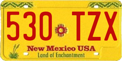 NM license plate 530TZX