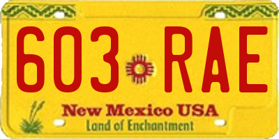 NM license plate 603RAE