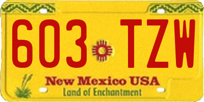 NM license plate 603TZW