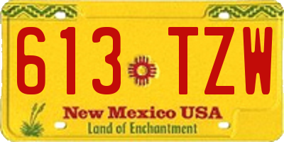 NM license plate 613TZW