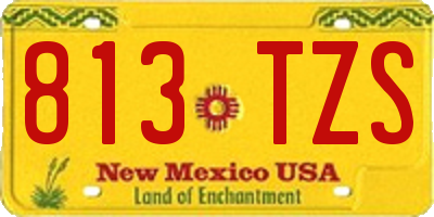 NM license plate 813TZS