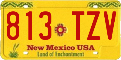 NM license plate 813TZV