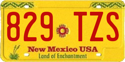 NM license plate 829TZS