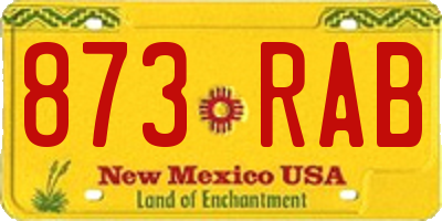 NM license plate 873RAB
