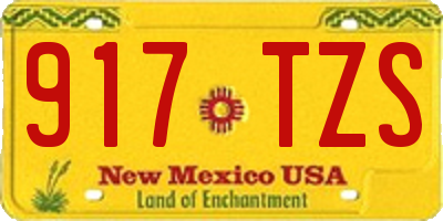 NM license plate 917TZS