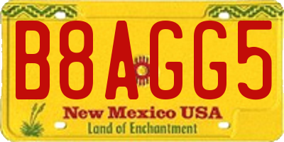 NM license plate B8AGG5