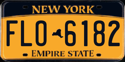 NY license plate FLO6182