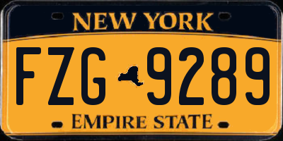 NY license plate FZG9289