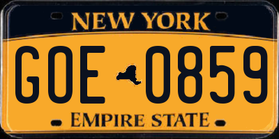NY license plate GOE0859