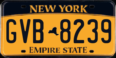 NY license plate GVB8239