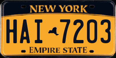 NY license plate HAI7203