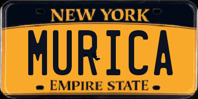 NY license plate MURICA