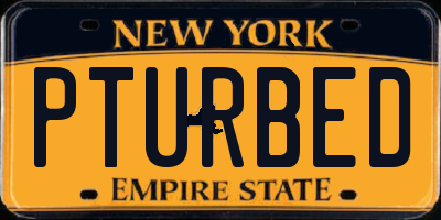 NY license plate PTURBED
